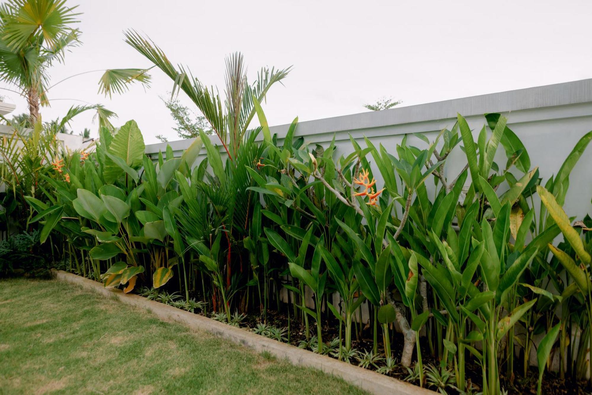 Namika Villas Ubud מראה חיצוני תמונה